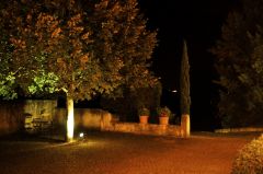 Terrasse et cour