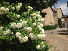 Terrasse et cour