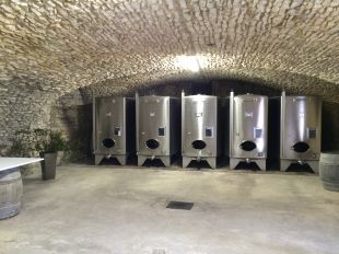 Domaine Albert - Présentation du vignoble